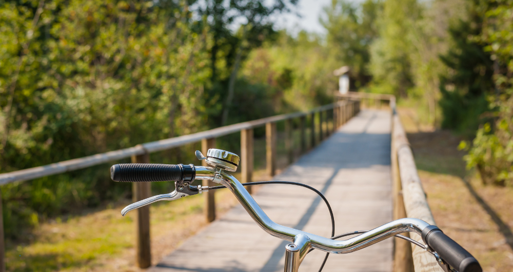 bike lane