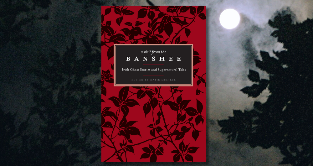 A Visit from the Banshee book cover